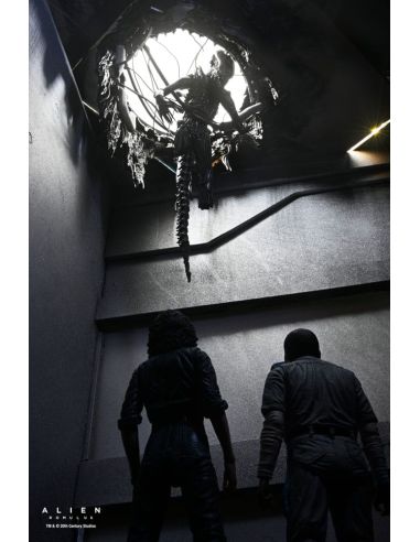 Figura Deluxe Suspended Lab Xenomorph XX121 18 cm – Alien: Romulus