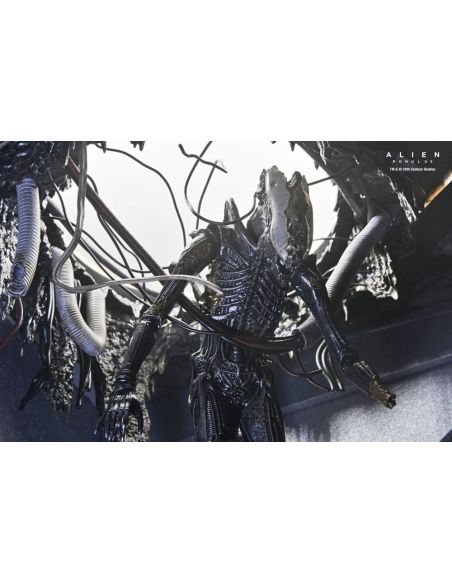 Figura Deluxe Suspended Lab Xenomorph XX121 18 cm – Alien: Romulus