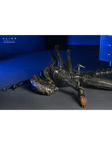 Figura Deluxe Suspended Lab Xenomorph XX121 18 cm – Alien: Romulus