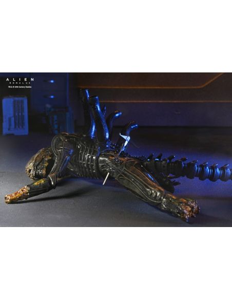 Figura Deluxe Suspended Lab Xenomorph XX121 18 cm – Alien: Romulus