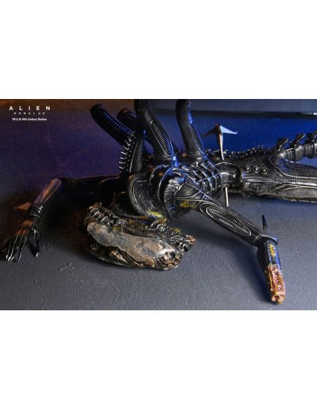Figura Deluxe Suspended Lab Xenomorph XX121 18 cm – Alien: Romulus