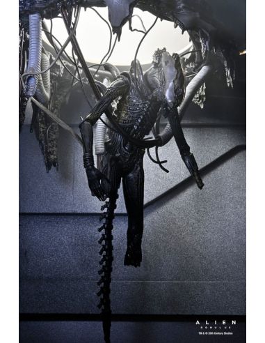 Figura Deluxe Suspended Lab Xenomorph XX121 18 cm – Alien: Romulus