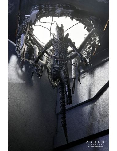 Figura Deluxe Suspended Lab Xenomorph XX121 18 cm – Alien: Romulus