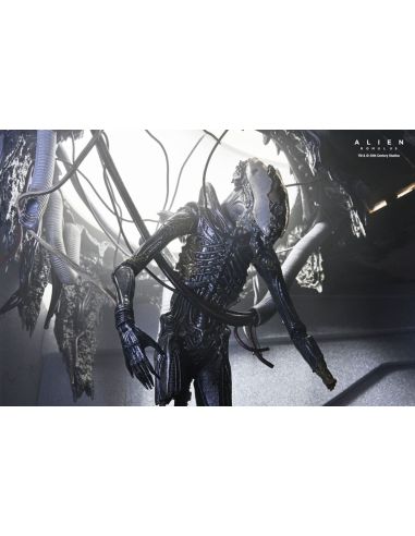Figura Deluxe Suspended Lab Xenomorph XX121 18 cm – Alien: Romulus
