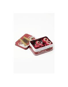 Fallout Bottle Caps Series Collectible Tin Nuka Cranberry (10 cm) (Set 20 Caps) 2