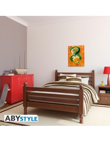 Placa metálica Shenron - Dragon Ball