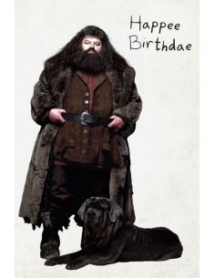Tarjeta De Felicitación pop-up 3D Pastel de Hagrid - Harry Potter 2
