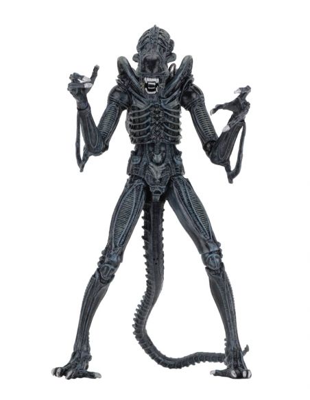 Alien azul Ultimate Aliens Warrior 1986 - Alien