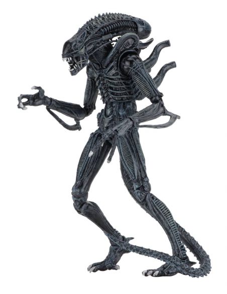 Alien azul Ultimate Aliens Warrior 1986 - Alien