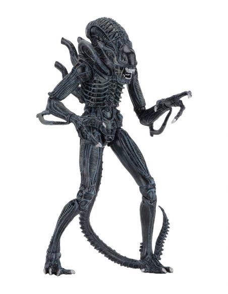 Alien azul Ultimate Aliens Warrior 1986 - Alien