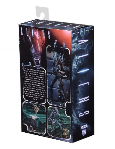 Alien azul Ultimate Aliens Warrior 1986 - Alien
