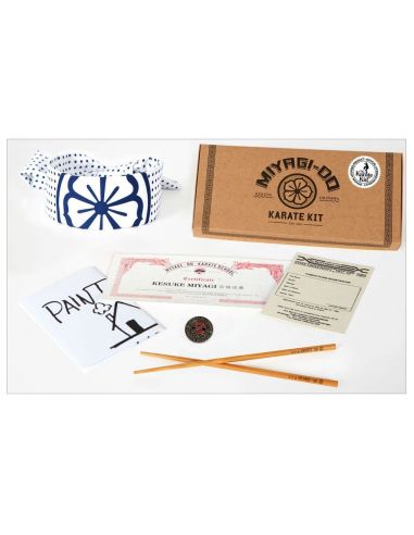 Pack regalo Karate Kid