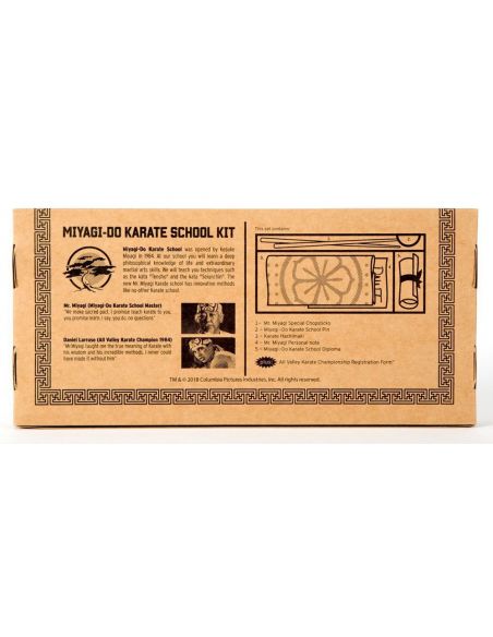 Pack regalo Karate Kid