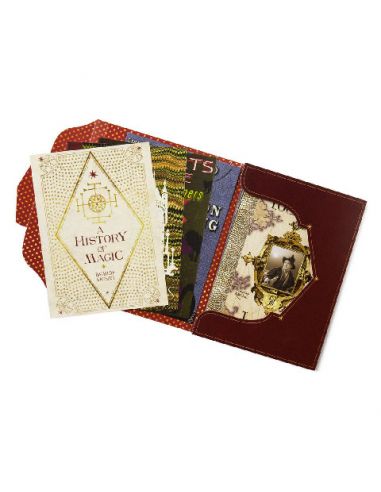 Pack 20 postales Libros alumnos Hogwarts - Harry Potter