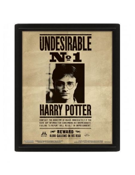 Cuadro carteles Harry Potter y Sirius Black - Lenticular - Harry Potter