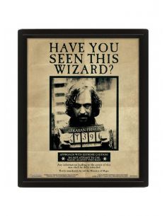 Cuadro carteles Harry Potter y Sirius Black - Lenticular - Harry Potter 2