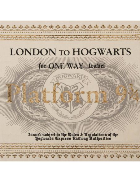 Paño de cocina Ticket Hogwarts Express - Harry Potter