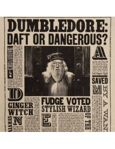Paño de cocina Portada el Profeta Dumbledore - Harry Potter 2